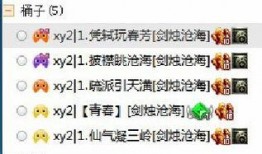 笨蛋最新爆料视频大全,视频大全背后的惊人真相