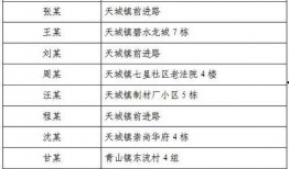 崇阳最新爆料消息今天疫情,追踪崇阳疫情发展，共筑防疫防线