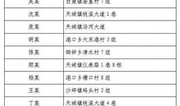 崇阳最新爆料消息今天疫情,追踪崇阳疫情发展，共筑防疫防线